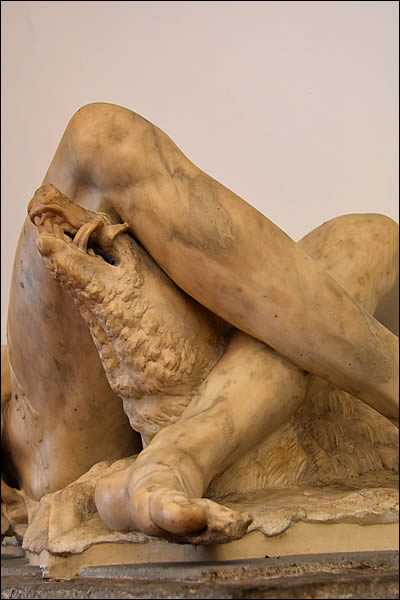 Le sanglier de l'Adonis Mourant