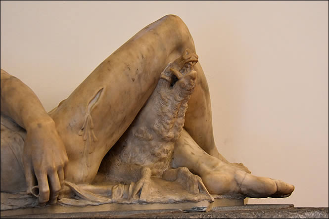 Le sanglier de l'Adonis mourant