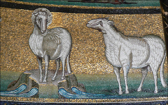 Les agneaux de l'église Saints Côme et Damien